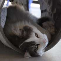 Thumbnail photo of Nora #4