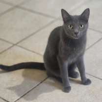 Thumbnail photo of Belle #1