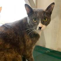 Thumbnail photo of Mallie #1