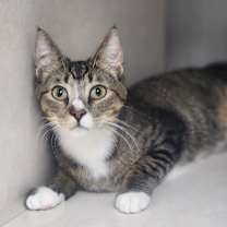 Thumbnail photo of Barney #1