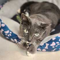 Thumbnail photo of Kiara #2