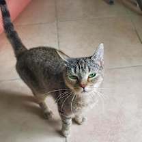 Thumbnail photo of Zarina #3