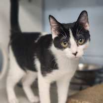 Thumbnail photo of Esme #2