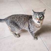 Thumbnail photo of Zarina #4