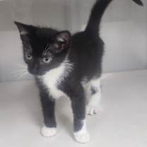 Thumbnail photo of Rita #2