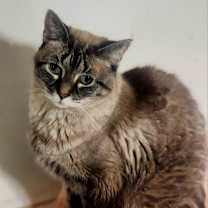 Thumbnail photo of Laverne #1