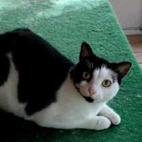 Thumbnail photo of Lucy #3