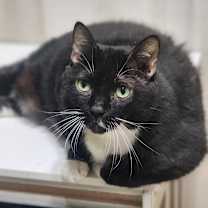 Thumbnail photo of Tara #1