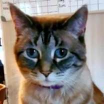 Thumbnail photo of Laverne #3