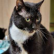 Thumbnail photo of Tara #2