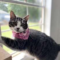 Thumbnail photo of Katie #3