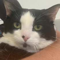 Thumbnail photo of Lucky #3