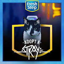 Thumbnail photo of Starling #4