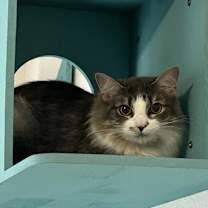 Thumbnail photo of Gretchen #1
