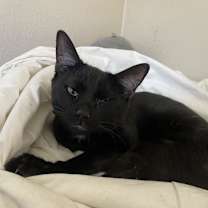 Thumbnail photo of Barney #1