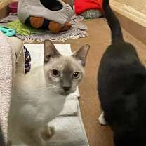 Thumbnail photo of Alfreda #2