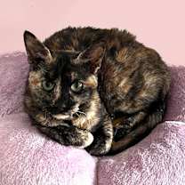 Thumbnail photo of Audrey Franklin #1