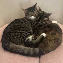 Thumbnail photo of Audrey Franklin #3