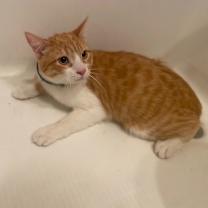 Thumbnail photo of Sid #2