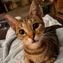 Thumbnail photo of Maxi #2