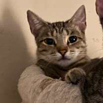 Thumbnail photo of Maxi #3
