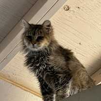 Thumbnail photo of Ragnar #1