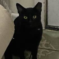 Thumbnail photo of Diego #2