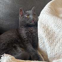 Thumbnail photo of Agnes #2