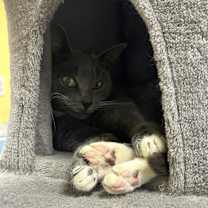 Thumbnail photo of Lauretta #2