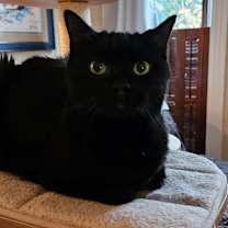 Thumbnail photo of Bali #1