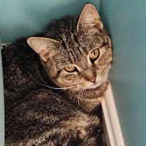 Thumbnail photo of Kairi #1