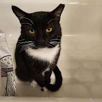 Thumbnail photo of Isaiah #1