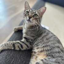 Thumbnail photo of Bobbie #1