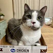 Thumbnail photo of Buddy #1