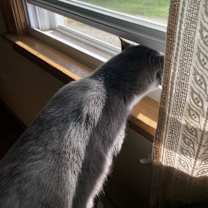 Thumbnail photo of Buddy #2