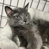 Thumbnail photo of Bubs #1
