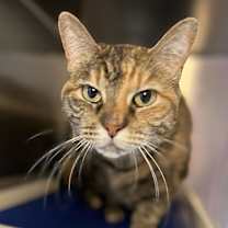 Thumbnail photo of Oanna #3