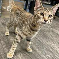 Thumbnail photo of Ruby #2