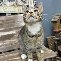 Thumbnail photo of Olaf #2