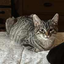 Thumbnail photo of Moira #3