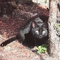 Thumbnail photo of Brookestone #1