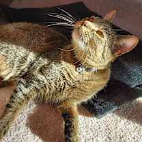 Thumbnail photo of Ana #2