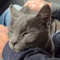 Thumbnail photo of Frankie W #3