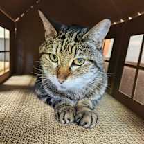 Thumbnail photo of Mister #1