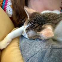 Thumbnail photo of Tabitha Twitchit #4