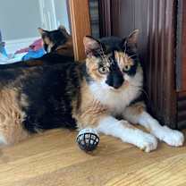 Thumbnail photo of Jackie-Foster #2