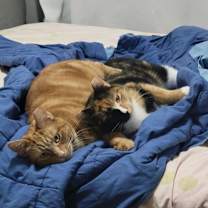 Thumbnail photo of Violeta #2