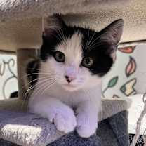 Thumbnail photo of Zinc #3