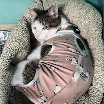 Thumbnail photo of Sheila #3