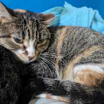 Thumbnail photo of brenda #1